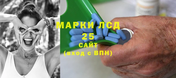 дживик Карпинск