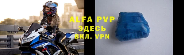дживик Карпинск