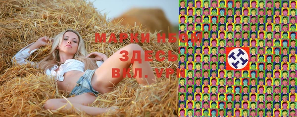 дживик Карпинск