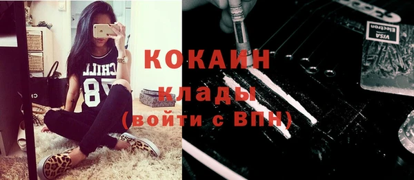 дживик Карпинск