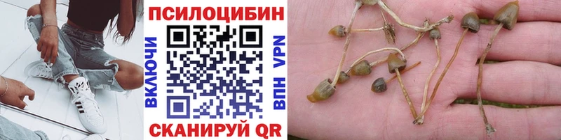 omg как зайти  Куйбышев  Псилоцибиновые грибы мухоморы 