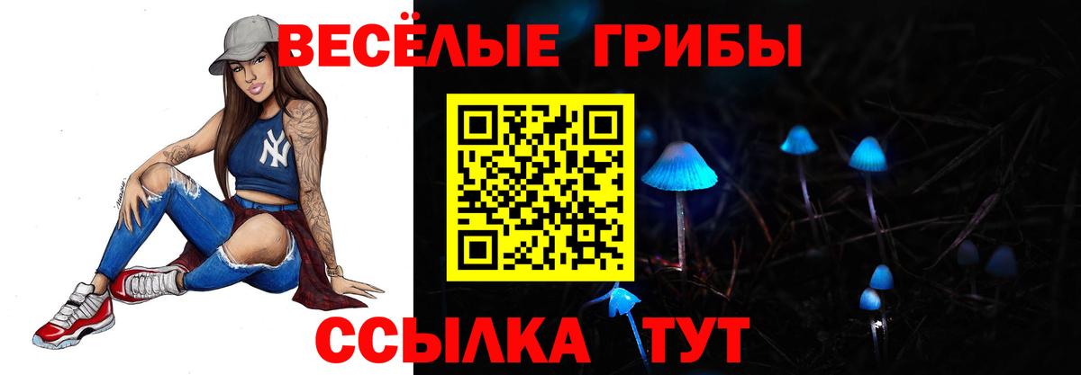 Куйбышев  Псилоцибиновые грибы GOLDEN TEACHER  Галлюциногенные грибы Magic Shrooms  Вход с VPN 